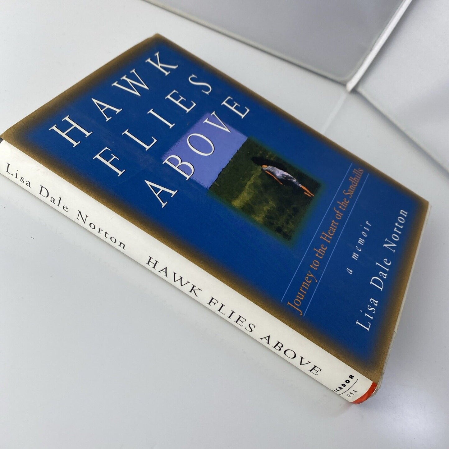 Hawk Flies Above Lisa Dale Norton 1st Picador USA Edition 1996 Hardcover Memoir