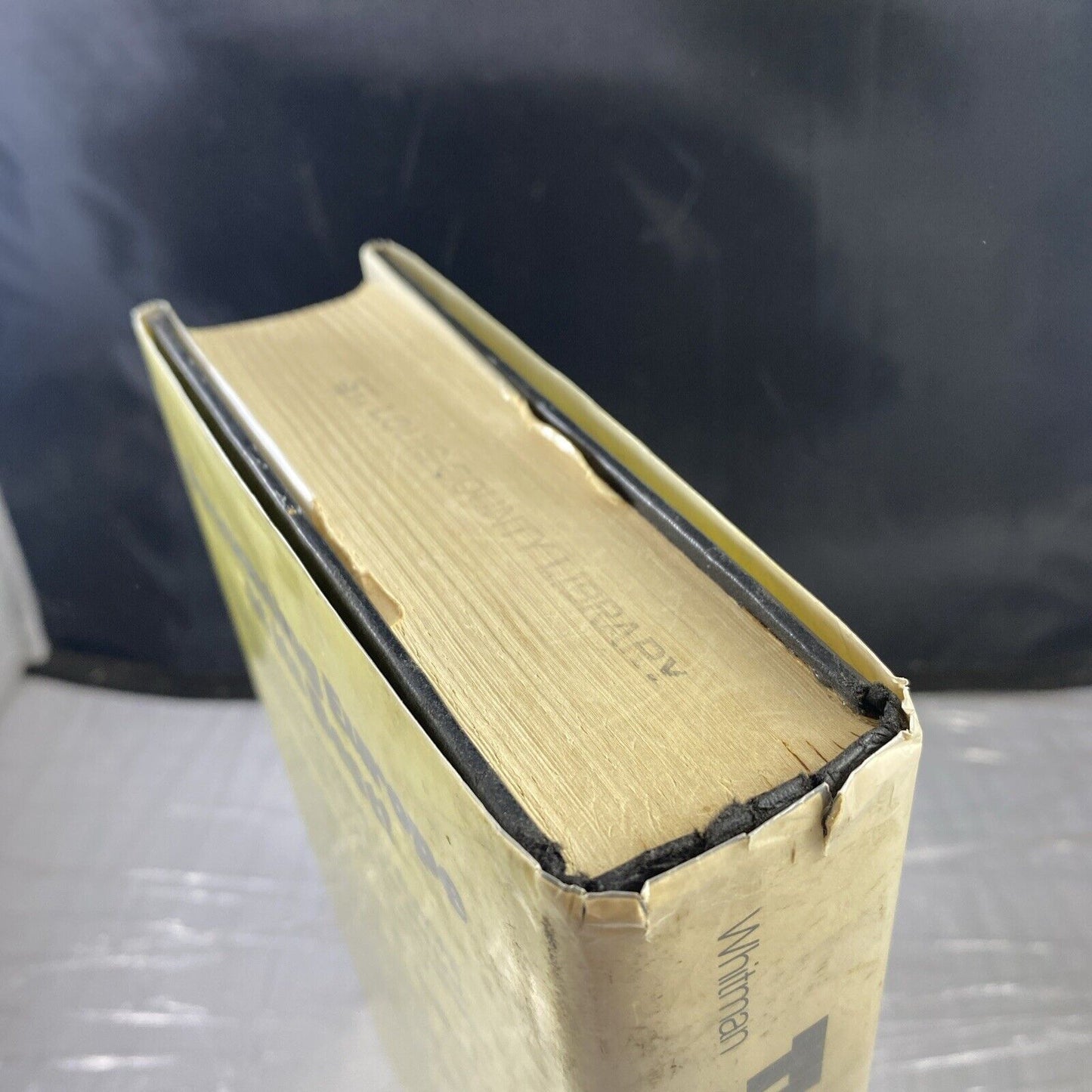The uncommon guide to Europe John Whitman Rare Travel Guide Vintage Ex Library