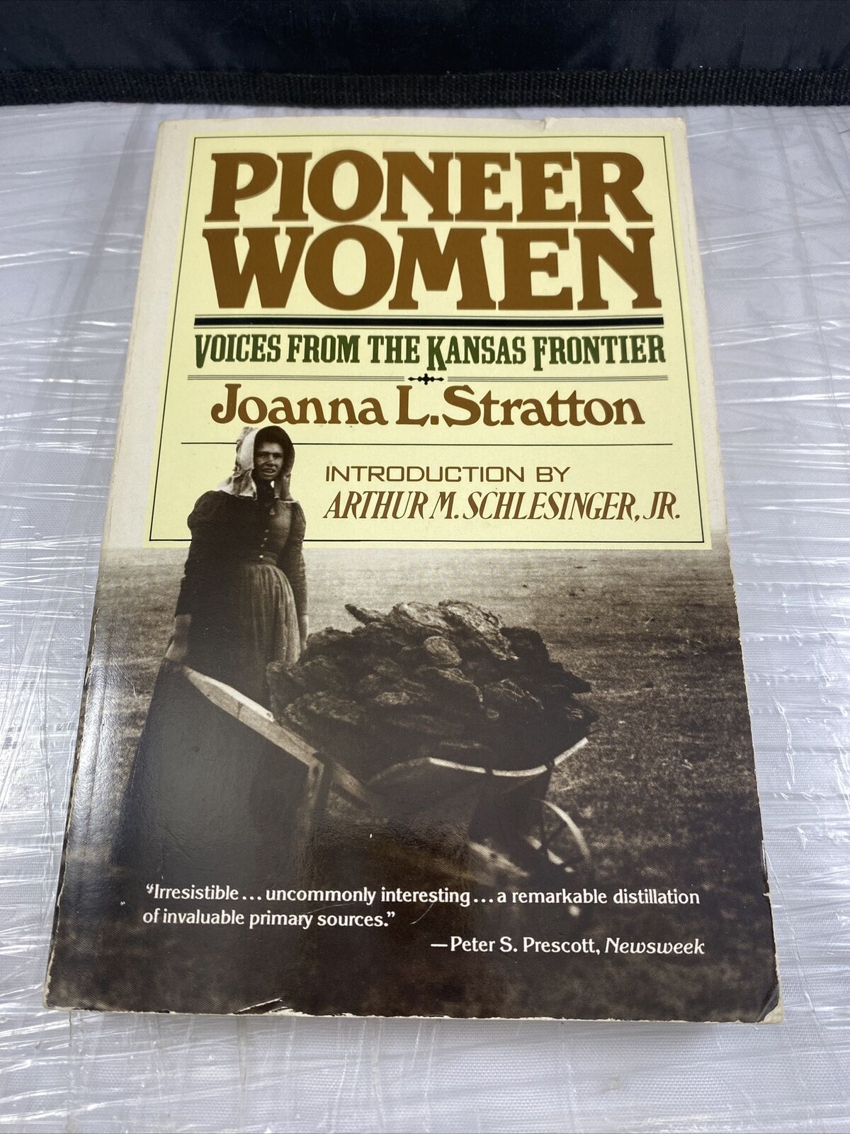 1st Edition - Pioneer Women by Joanna L. Stratton - 1982 Empowering History