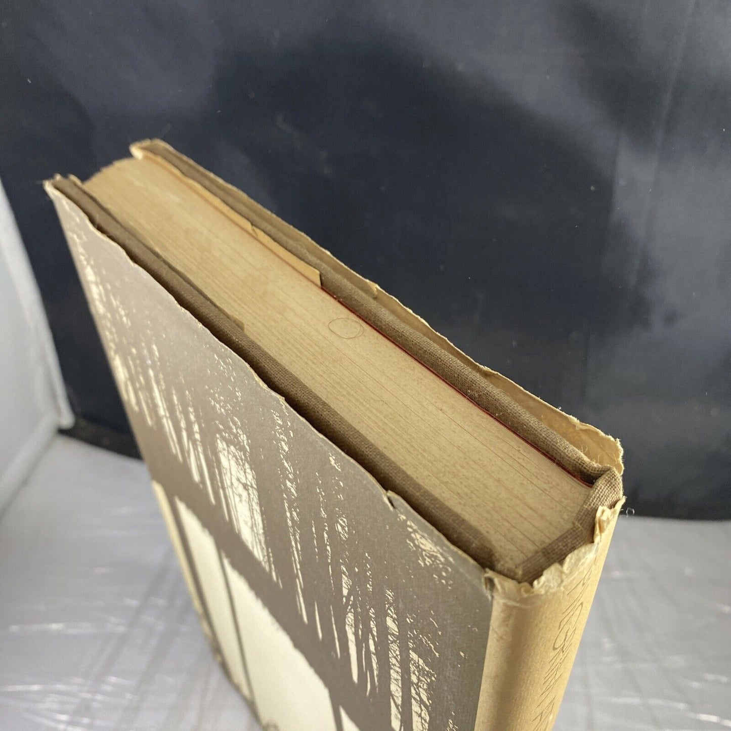 Pilgrim at Tinker Creek by Annie Dillard 1974 HC/DJ First Ed. Damaged See Pics!!