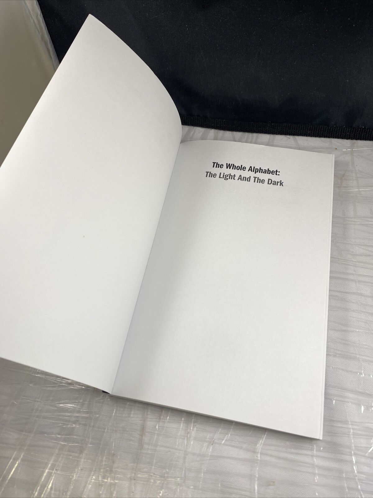 The Whole Alphabet : The Light and the Dark Paperback Rare LGBTQIA Gay Authors