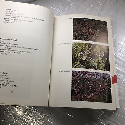 MISSOURI FLOWERS By Edgar Denison ~ 1972 Trade Paperback Flower Identification