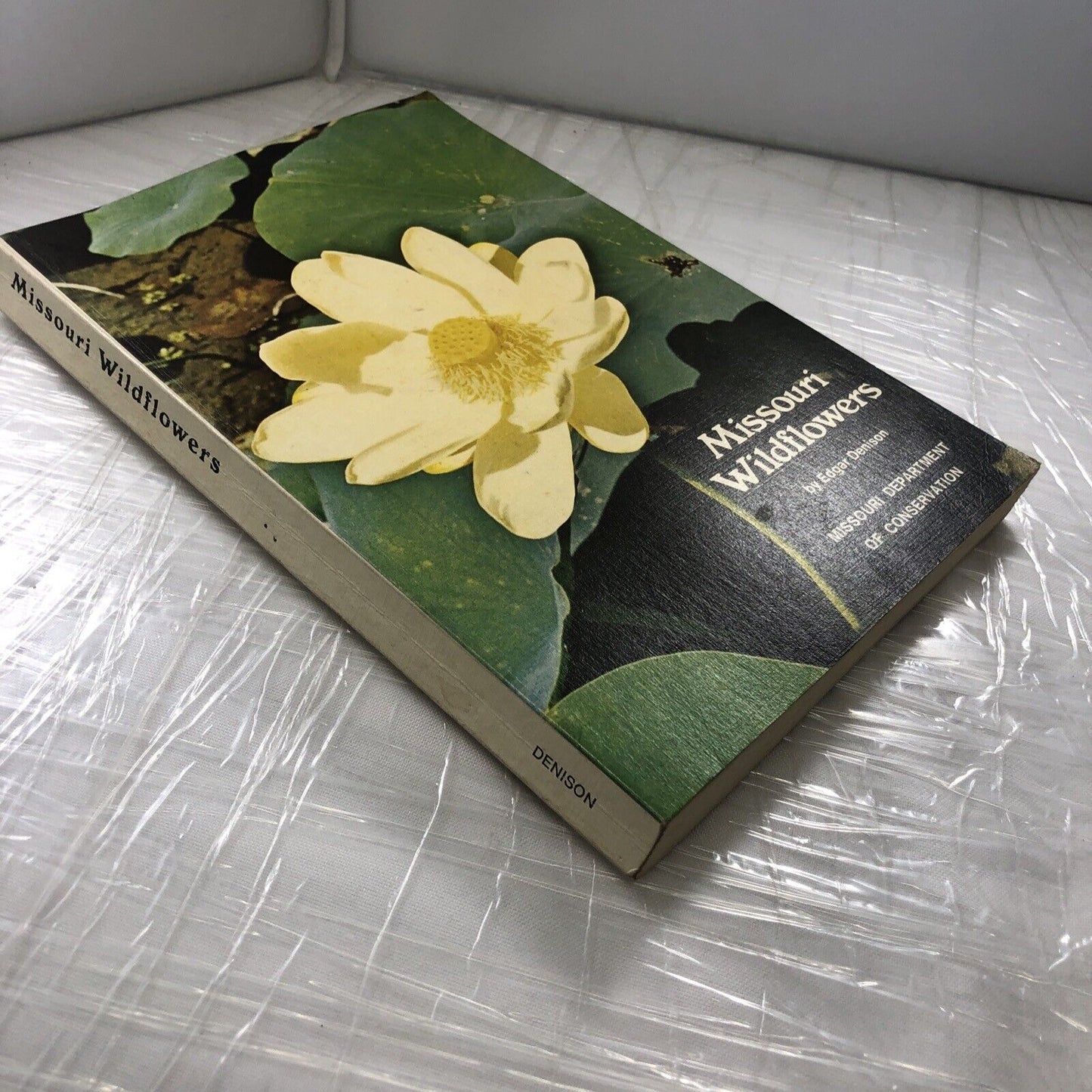 MISSOURI FLOWERS By Edgar Denison ~ 1972 Trade Paperback Flower Identification