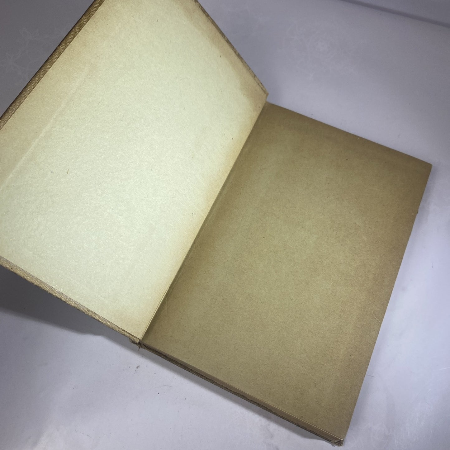 1919 Short Stories of the New America Mary A Laselle Chelsea MA