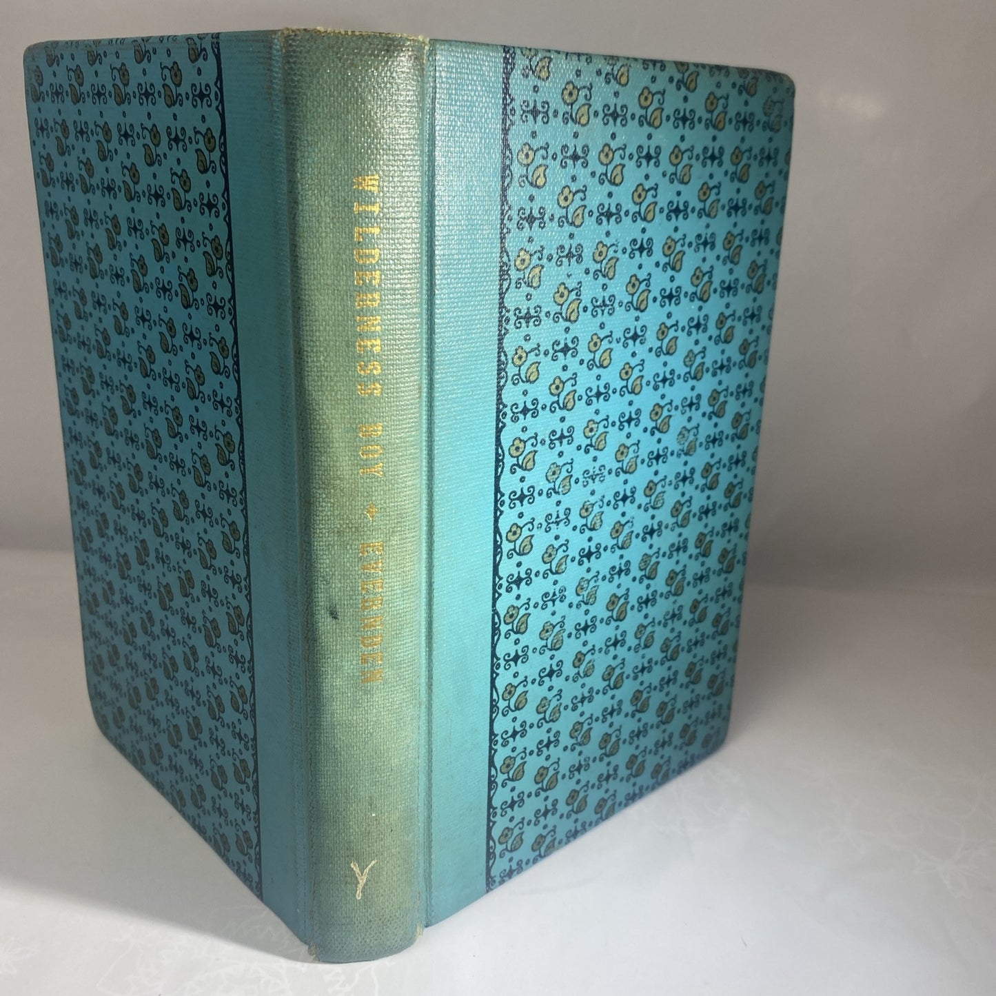 WILDERNESS BOY By Margery Evernden Rare Novel Chapter Book Rebound Vintage