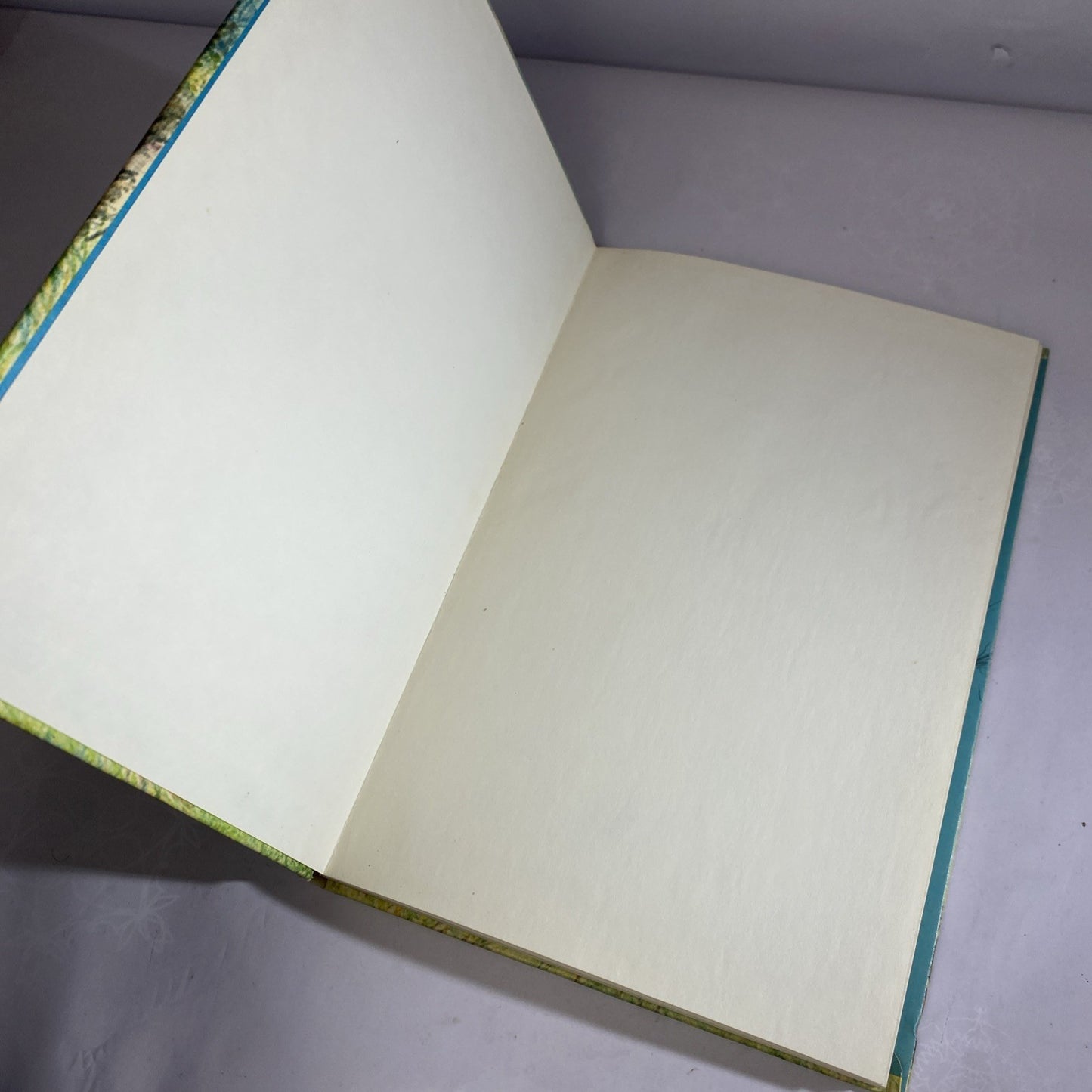 Runaway Pony, Runaway Dog by Ruth & LaTrobe Carroll 1963 Weekly Reader Hardcover