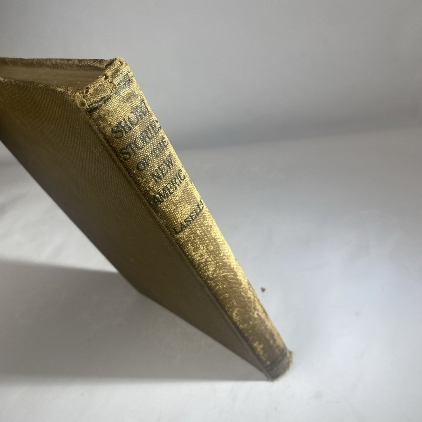 1919 Short Stories of the New America Mary A Laselle Chelsea MA