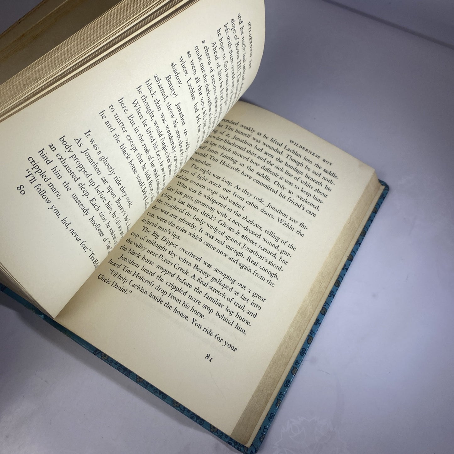 WILDERNESS BOY By Margery Evernden Rare Novel Chapter Book Rebound Vintage