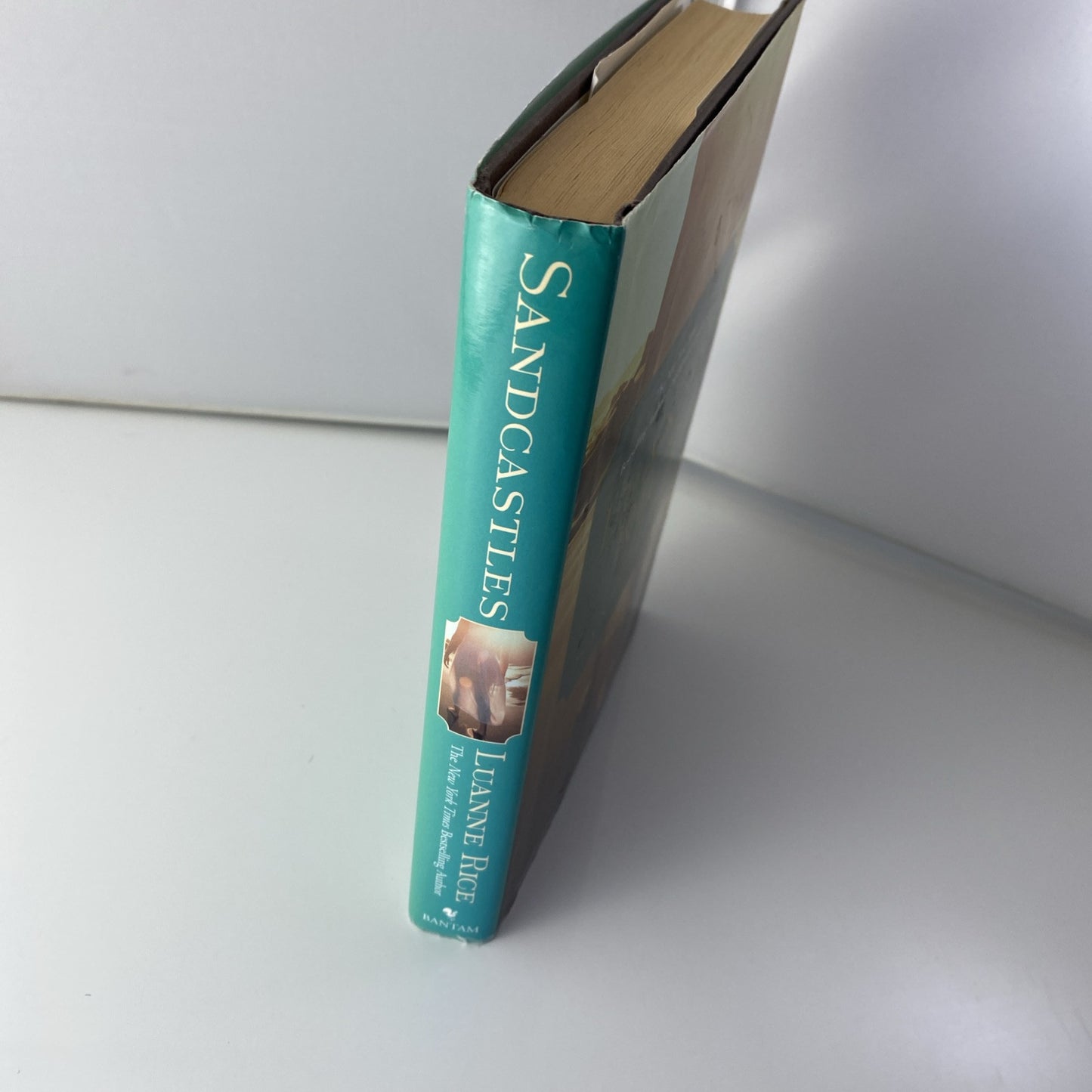 Sandcastles~Luanne Rice~Hardcover Book Club Ed NYT Bestseller~Summer of roses