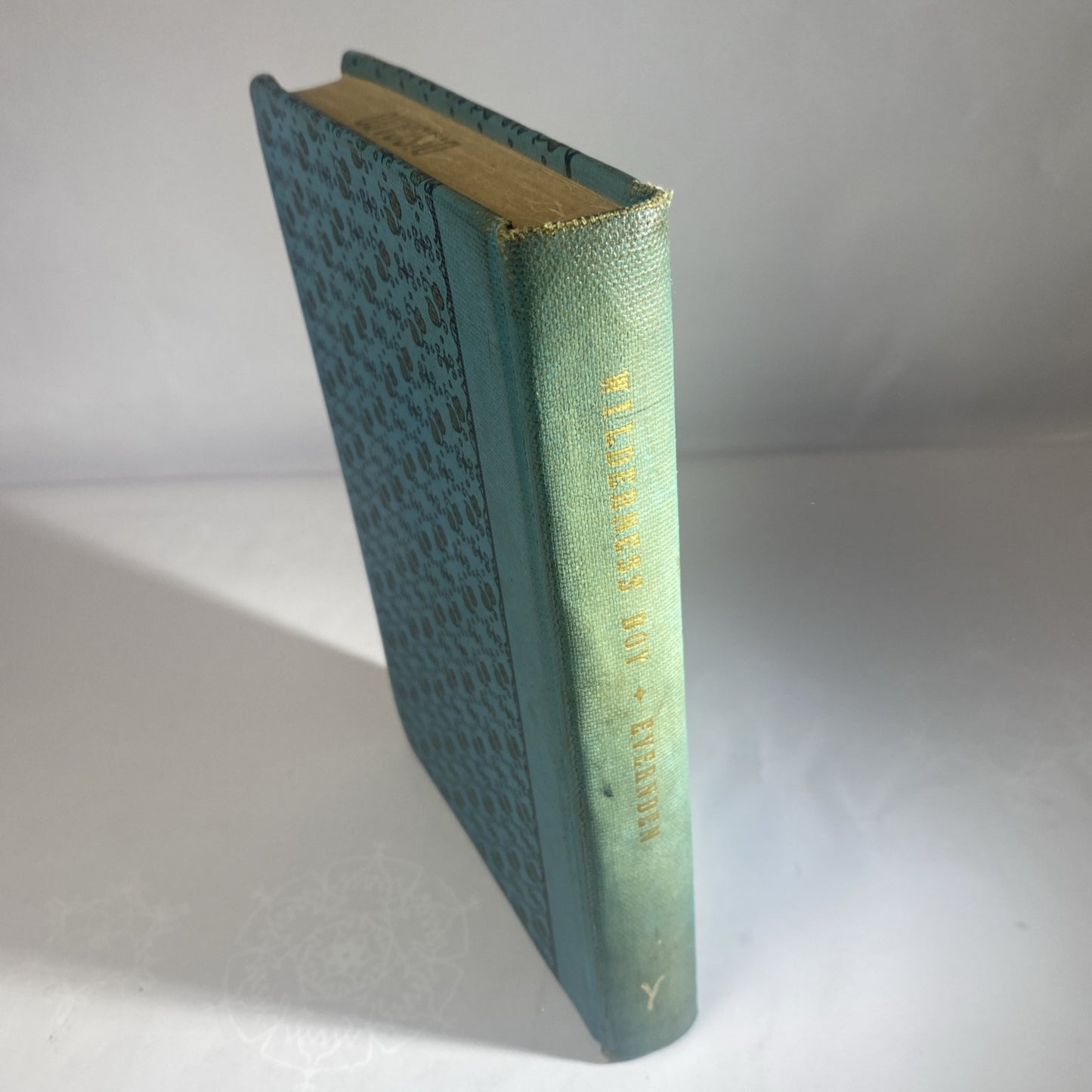 WILDERNESS BOY By Margery Evernden Rare Novel Chapter Book Rebound Vintage