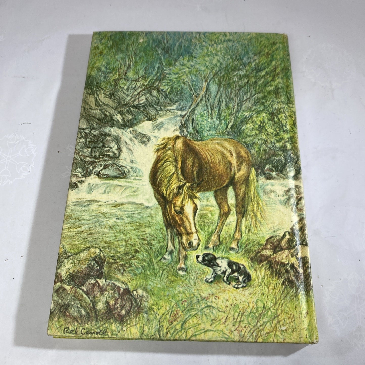 Runaway Pony, Runaway Dog by Ruth & LaTrobe Carroll 1963 Weekly Reader Hardcover