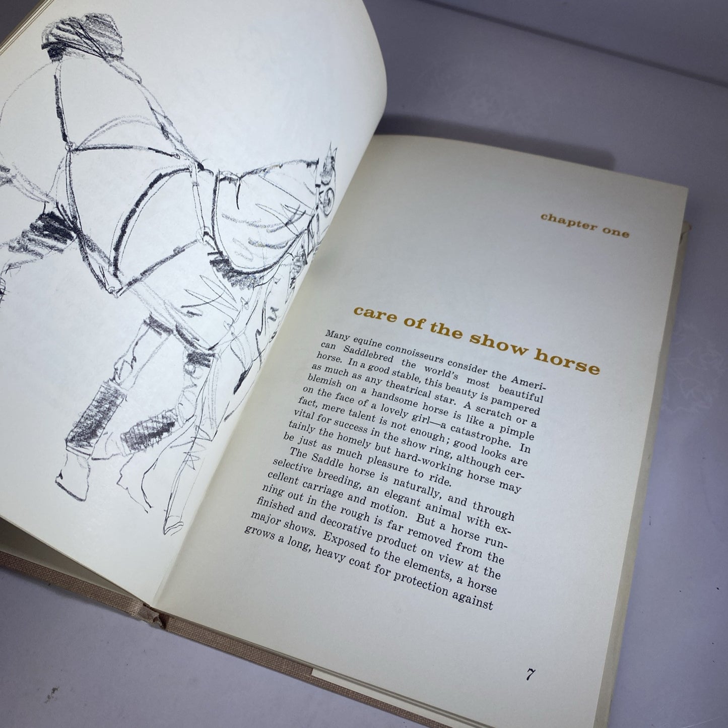 Vintage Sports Illustrated Book Of Gaited Riding Vintage 60s 70s Horseback Rare!