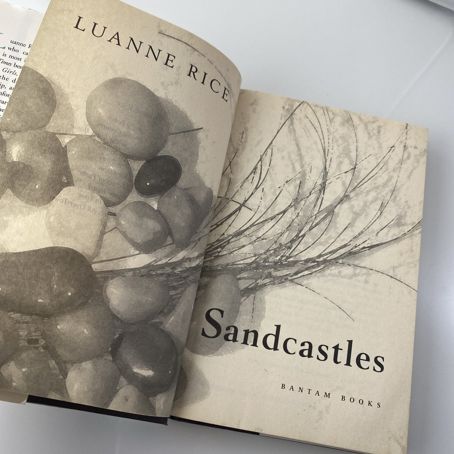 Sandcastles~Luanne Rice~Hardcover Book Club Ed NYT Bestseller~Summer of roses