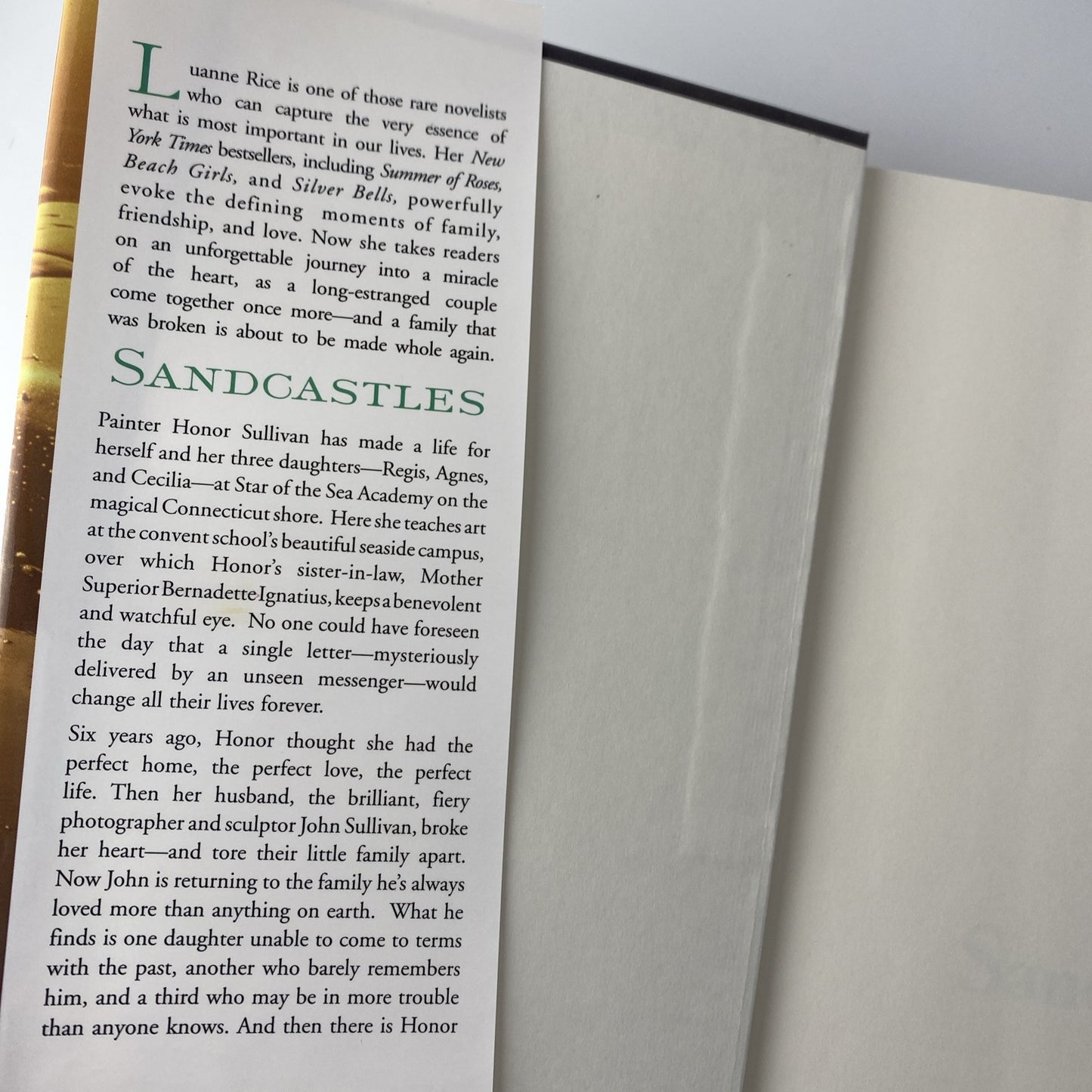 Sandcastles~Luanne Rice~Hardcover Book Club Ed NYT Bestseller~Summer of roses