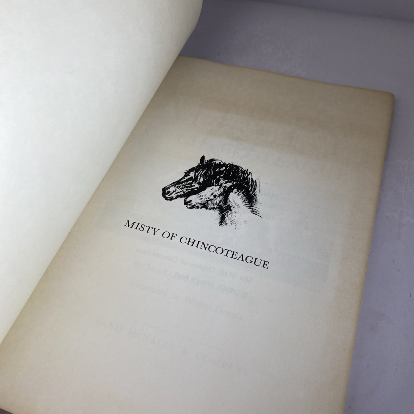 Misty of Chincoteague, Marguerite Henry, Wesley Dennis Softcover 1975, 7th print