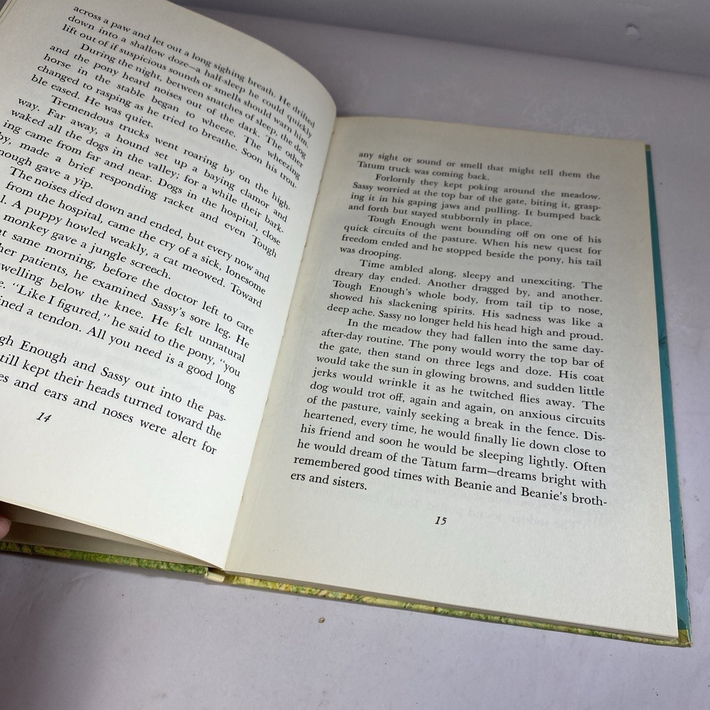 Runaway Pony, Runaway Dog by Ruth & LaTrobe Carroll 1963 Weekly Reader Hardcover