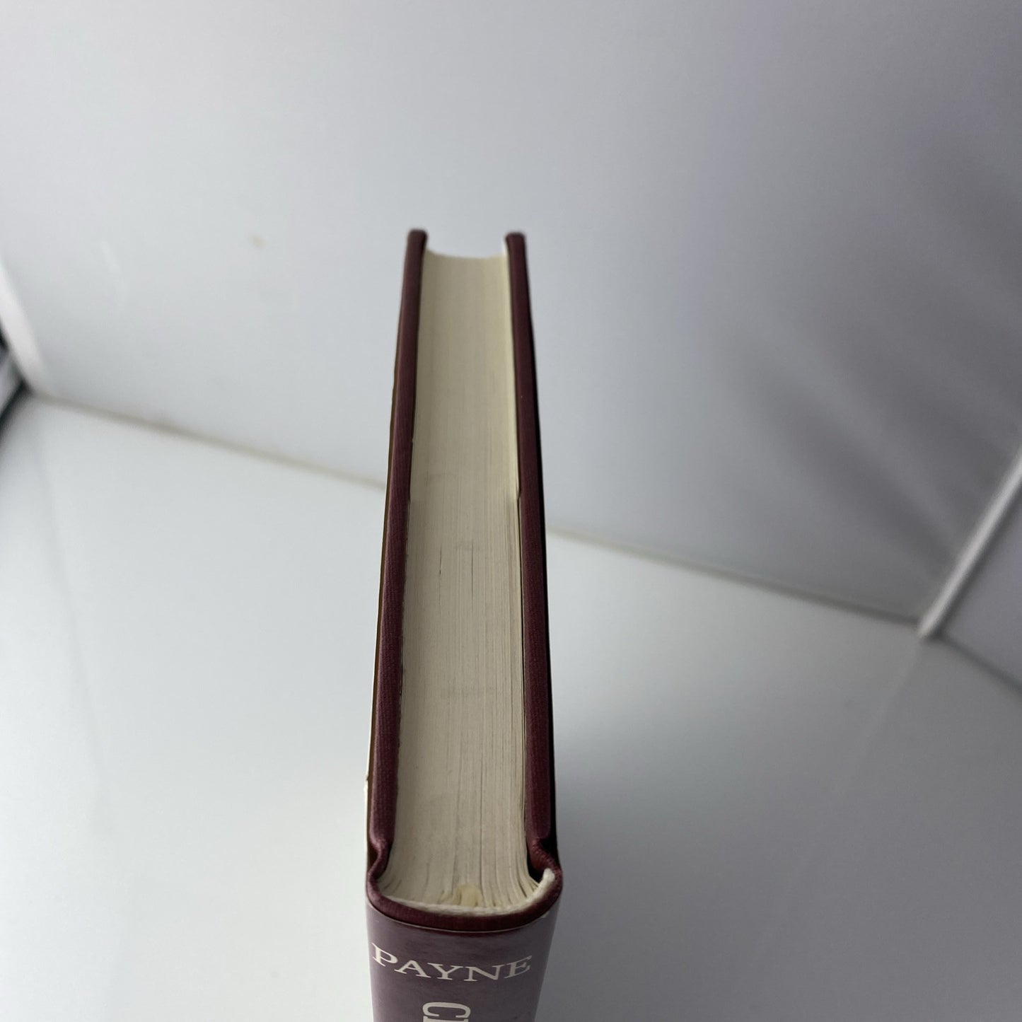 Chaucer and Menippean Satire by Payne, F.Anne Hardback Book The Fast Ship
