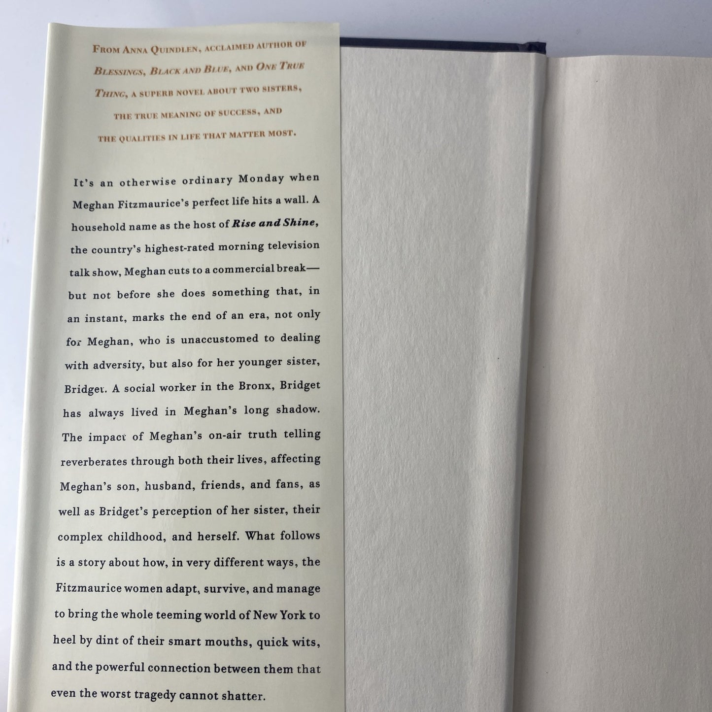 Rise and Shine By Anna Quindlen Hardcover Morning Show Fiction Novel Book 1st Ed
