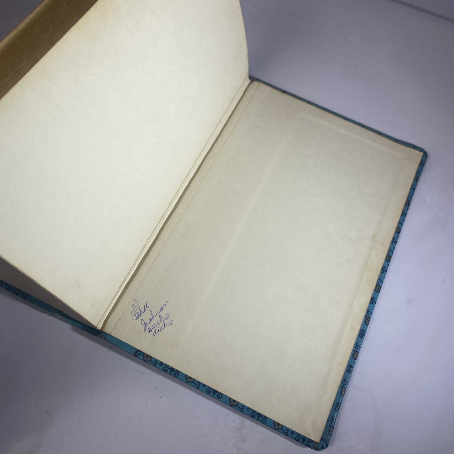 WILDERNESS BOY By Margery Evernden Rare Novel Chapter Book Rebound Vintage