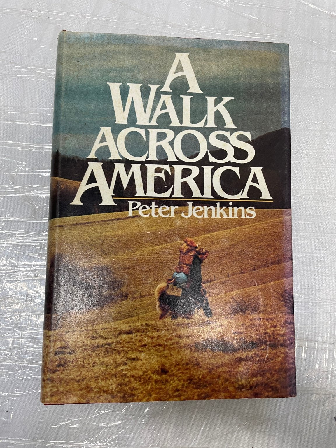 A Walk Across America Peter Jenkins 1979 Illustrated Travel Memoir