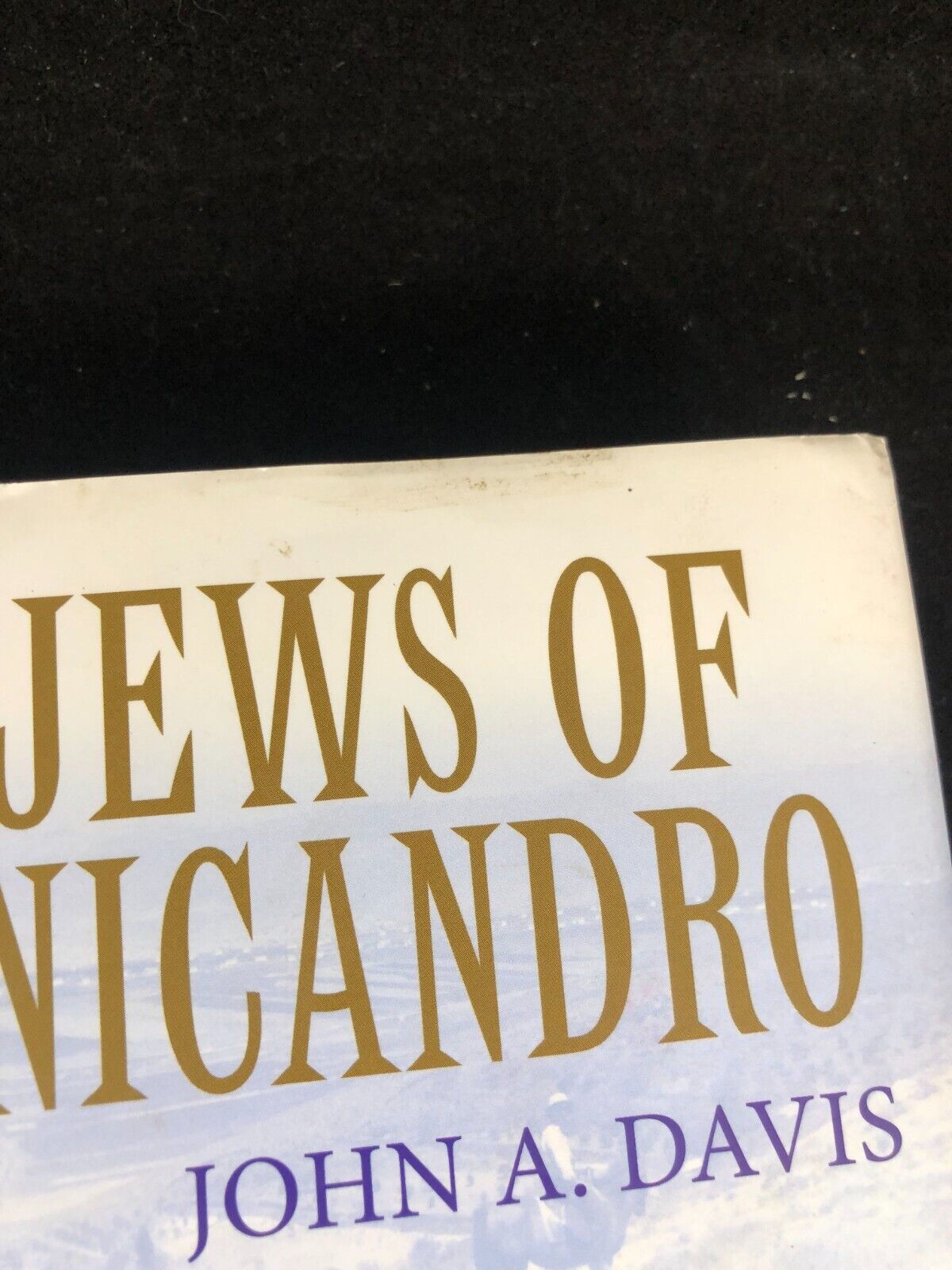 The Jews of San Nicandro by Davis, John HC DJ