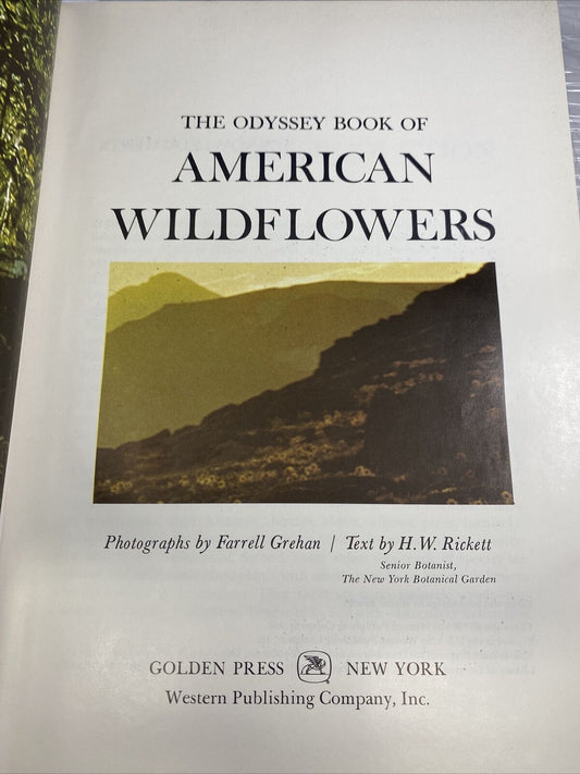 The Odyssey Book of AMERICAN WILDFLOWERS by H.W. Rickett 60s Vintage Pictures