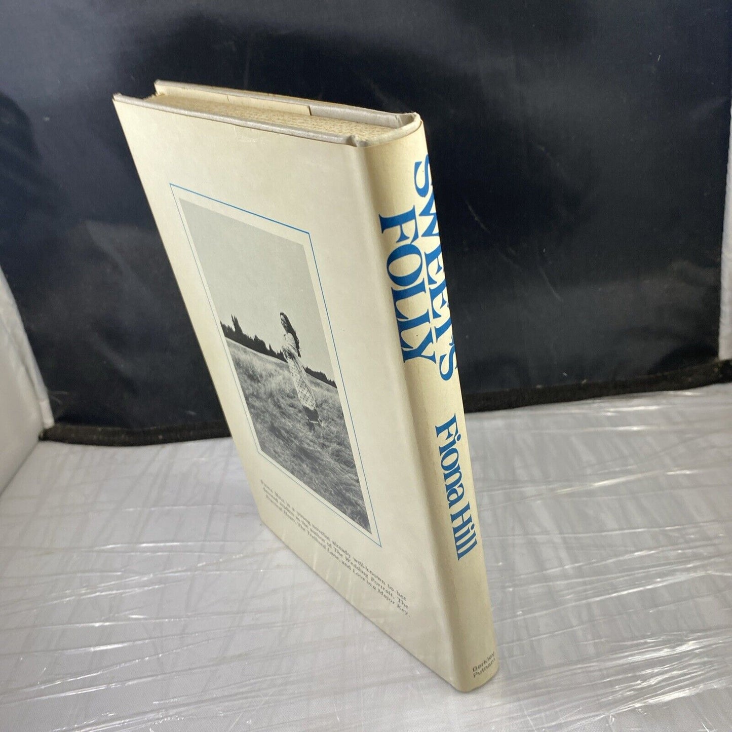 Sweet's Folly A Novel by Fiona Hill (1977, Other) Hardcover Vintage BCE