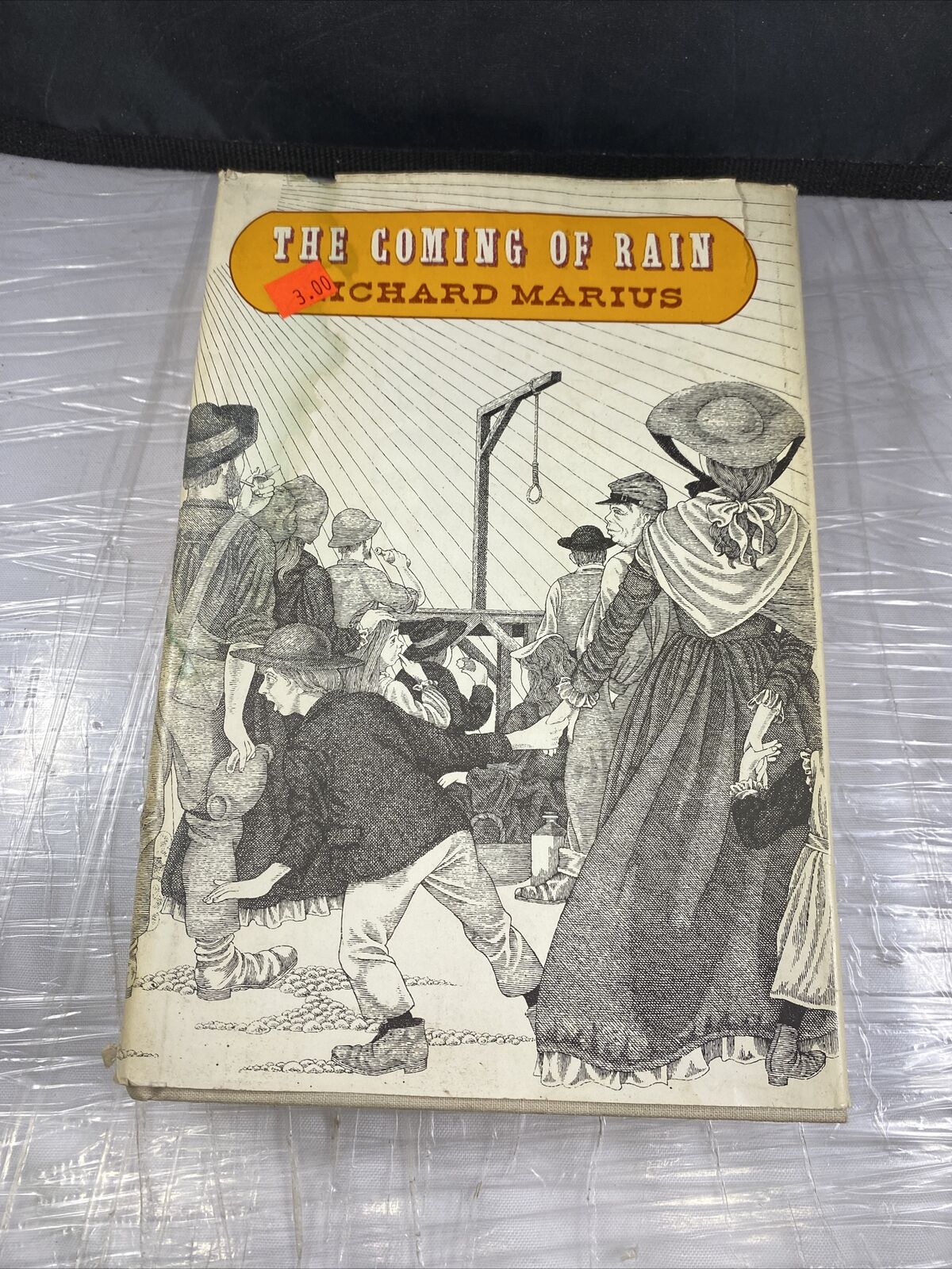 The Coming of Rain by Richard Marius Hardcover Book 1969 First Edition