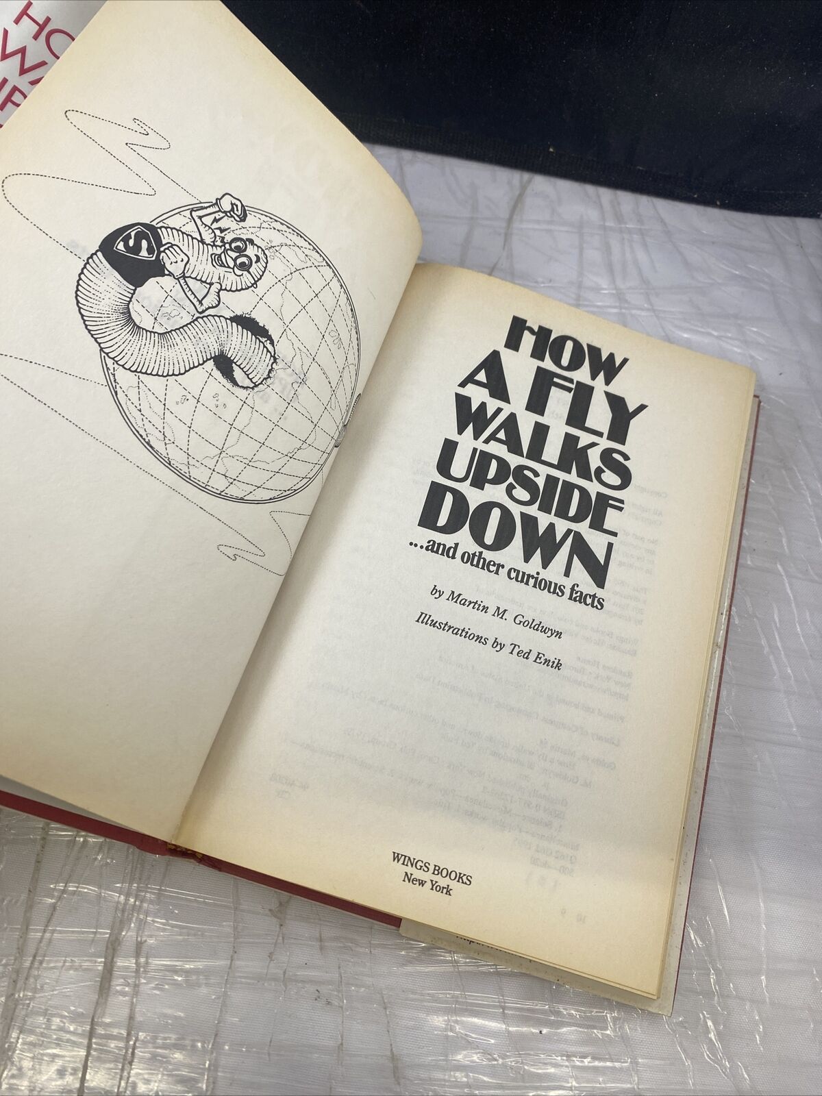 How A Fly Walks Upside Down Book ~ Martin M Goldwyn Funny Facts Vintage Kids