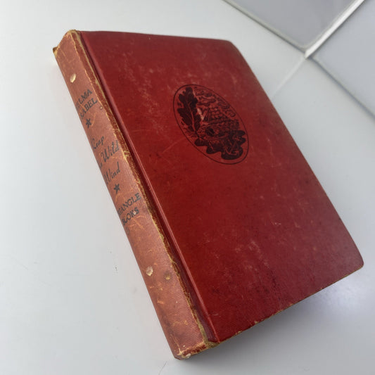 Vintage Novel 1940s Reap the Wild Wind 1943 Thelma Strabel Hardcover Vintage