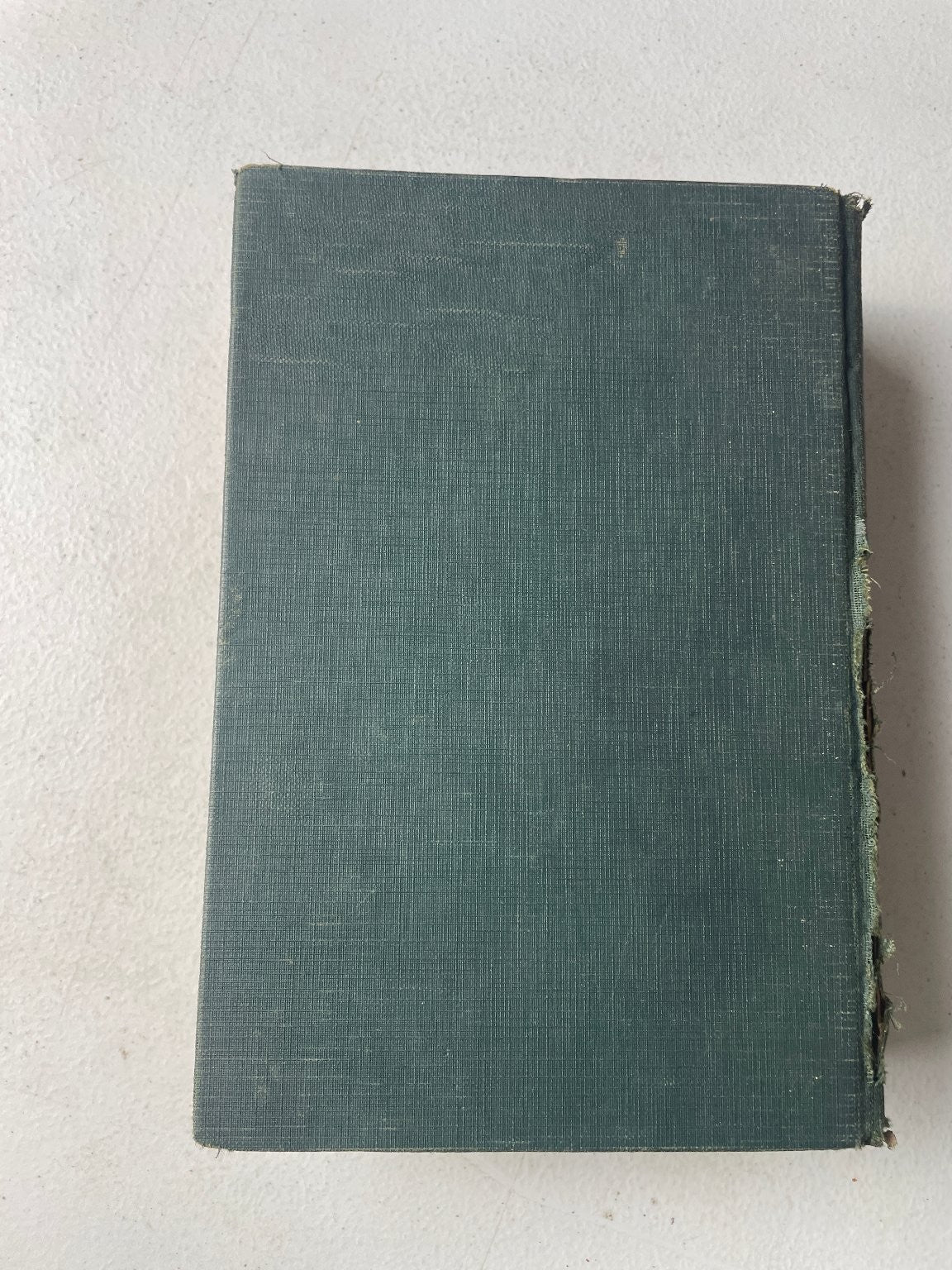 Webster's Modern Reference Dictionary 1938 Spencer Press Vintage Lexicography