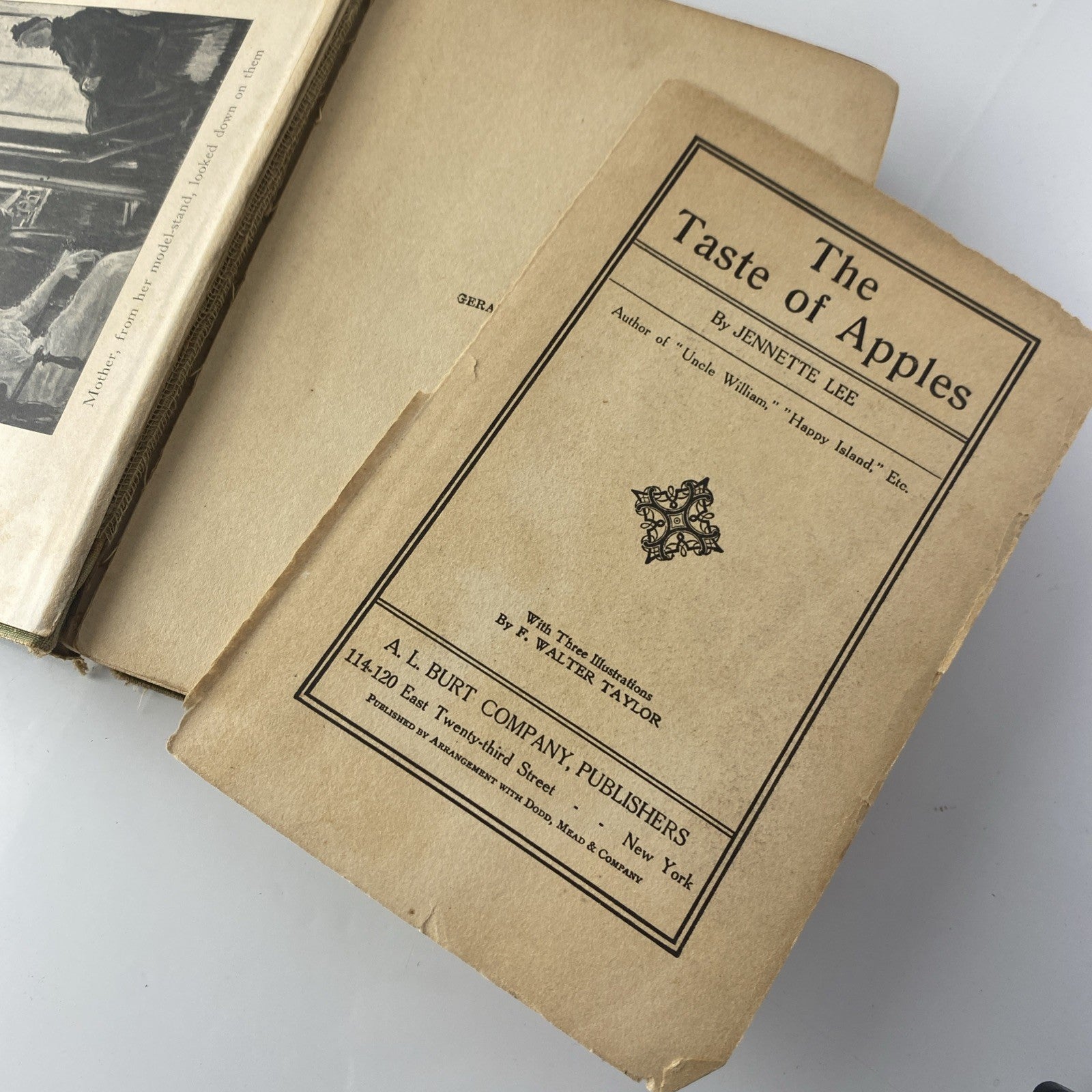 The Taste of Apples (Hardcover) 1913 by Jennette Lee See Pics Antique Novel