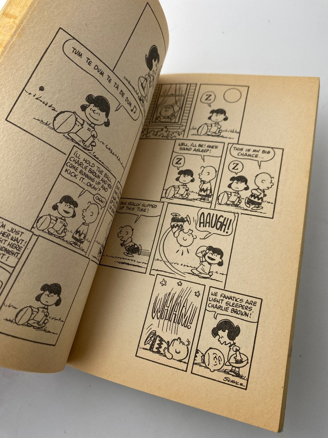 You're Something Special Snoopy Charles M. Schulz 3rd Impression 1974