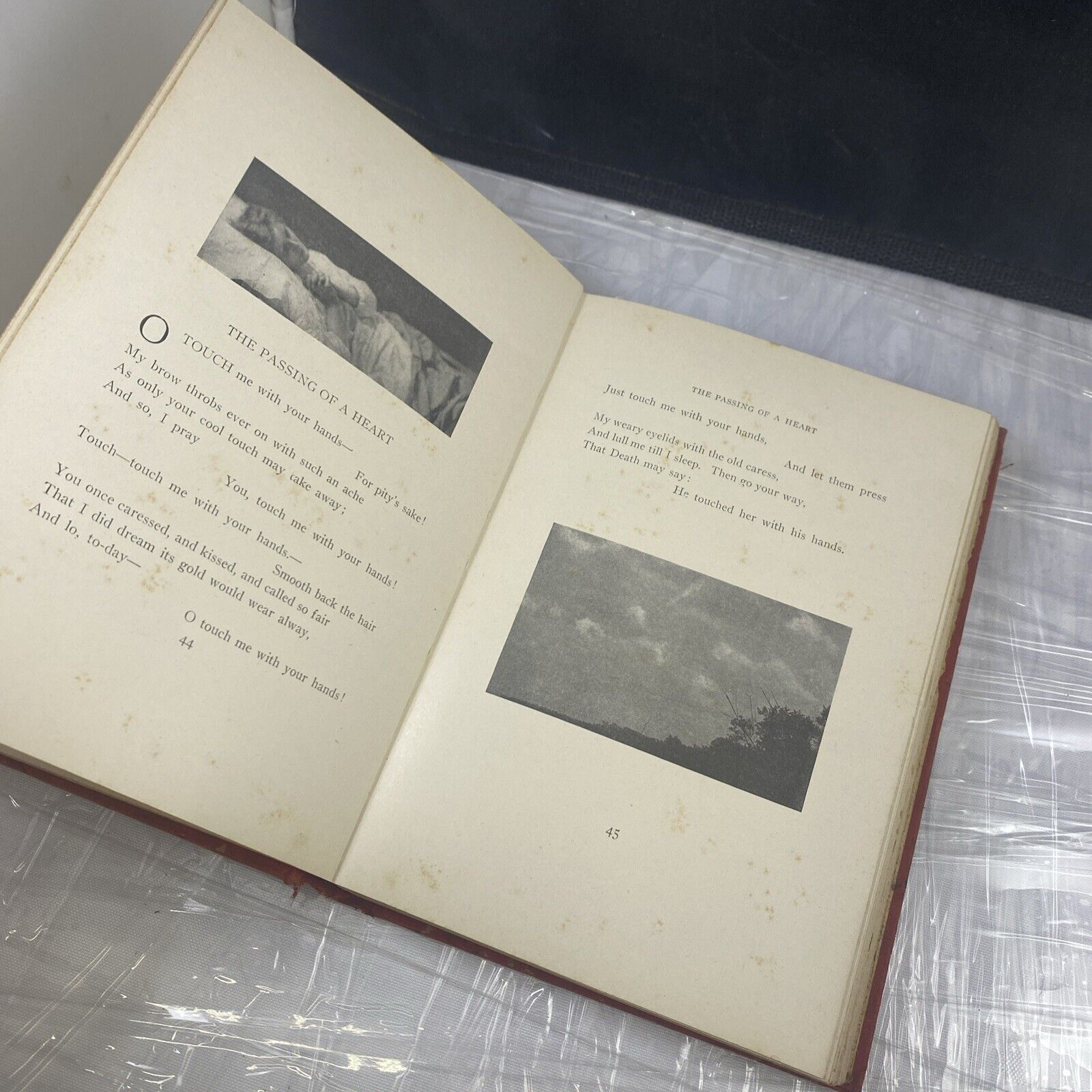 Love Lyrics James Whitcomb Riley 1905 Antique worn Poetry Book With Pictures