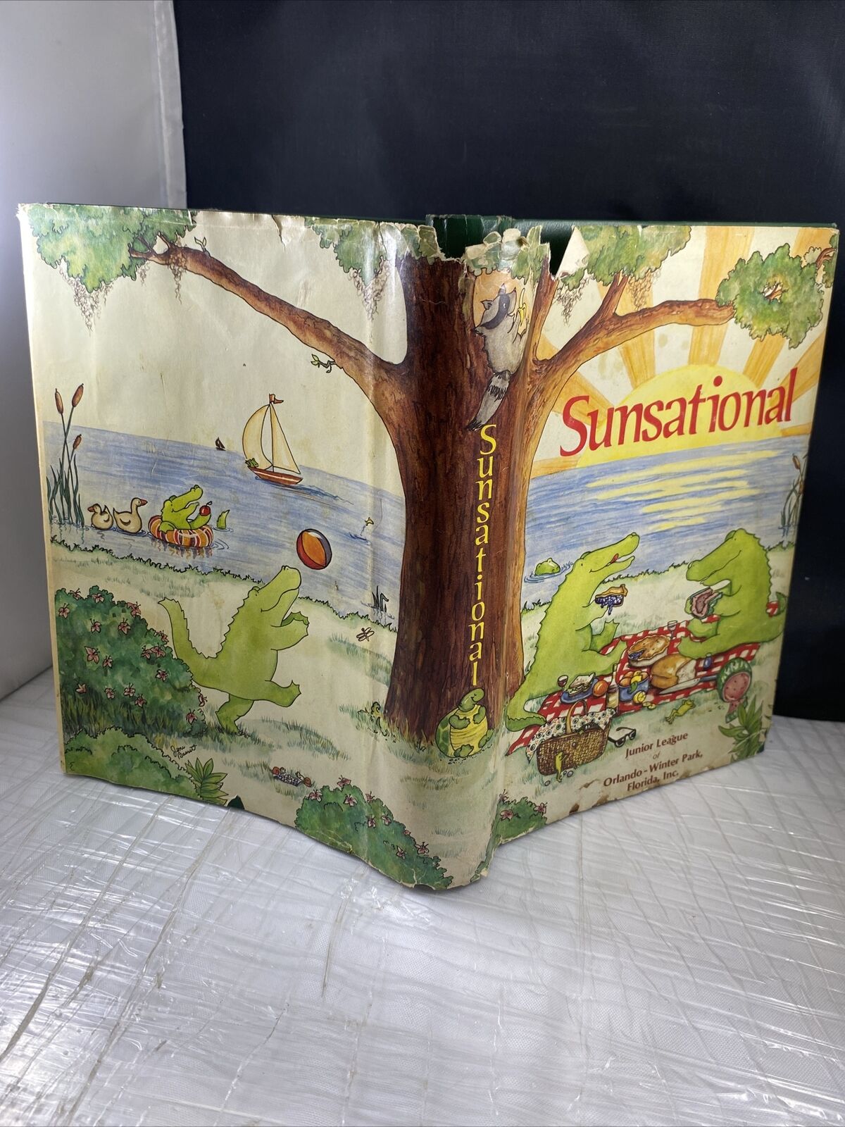 SUNSATIONAL A Cookbook by the Junior League of Orlando Vintage 80s First Print!