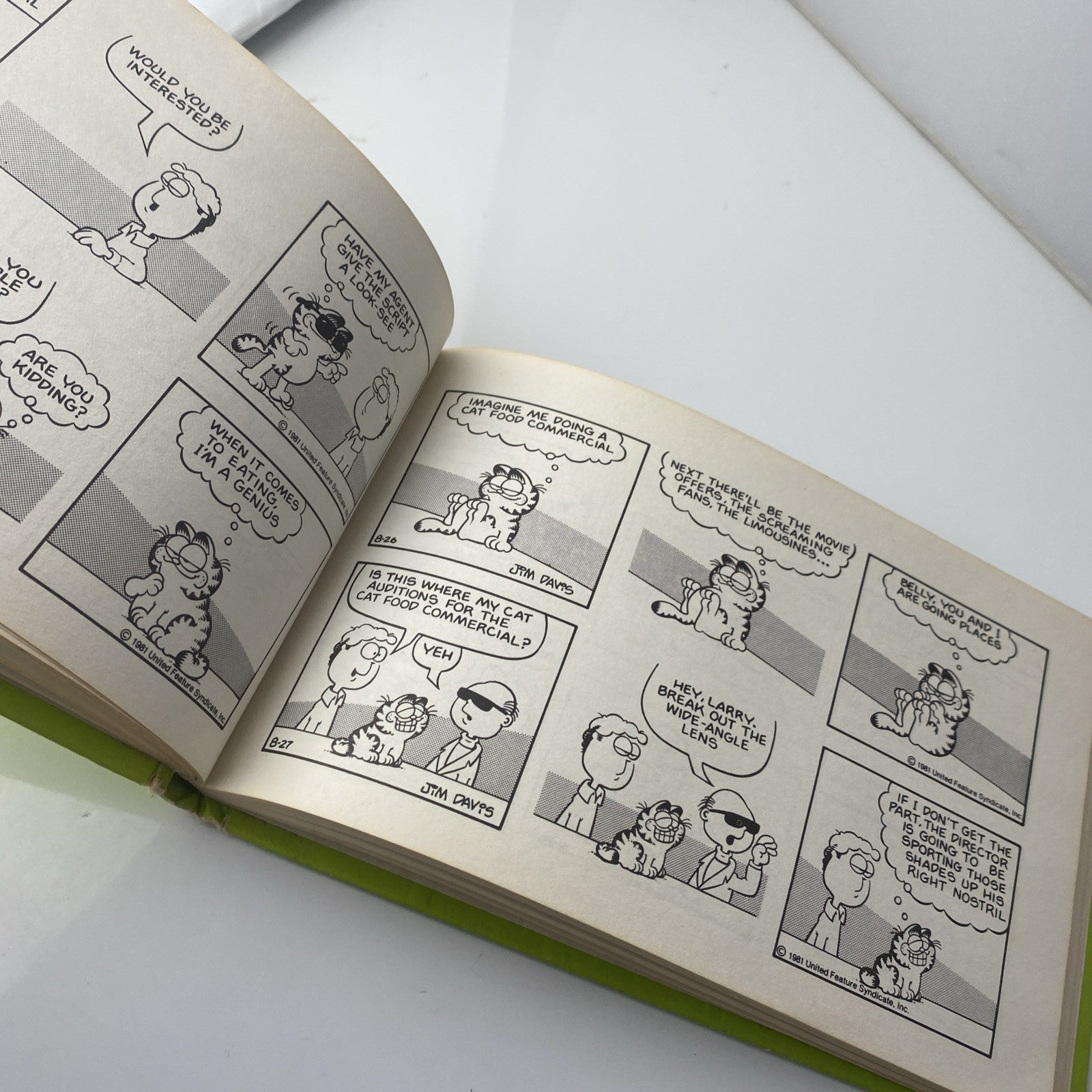 Vintage 70s Garfield Eats His Heart Out: His Sixth Book - Hardcover, Jim Davis