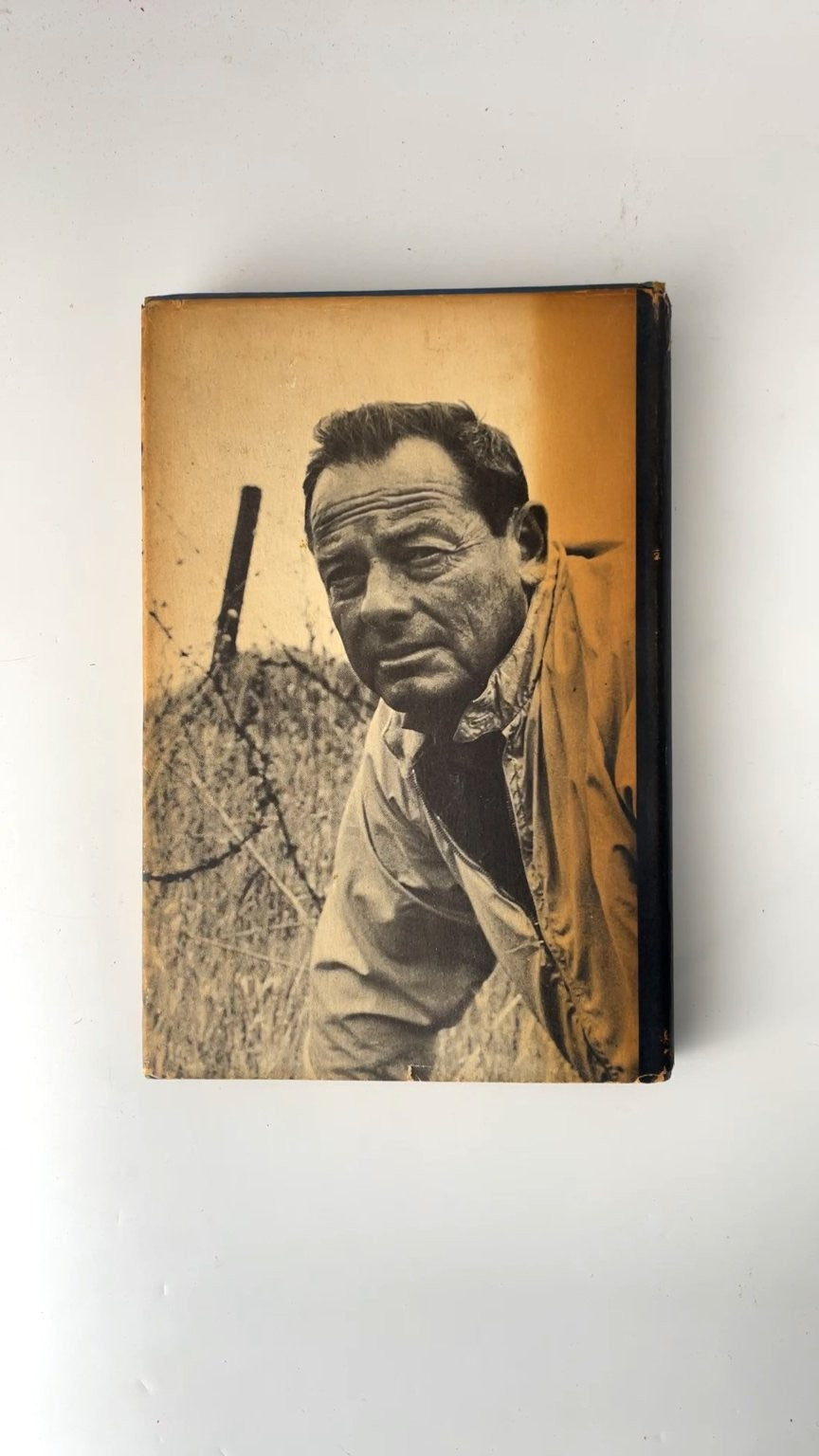 In the Company of Eagles Ernest K. Gann 1966 Book Club Edition War Novel