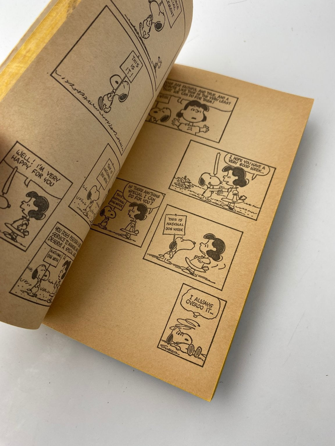 You're So Smart Snoopy by Charles M. Schulz 1974 Illustrated Cartoon