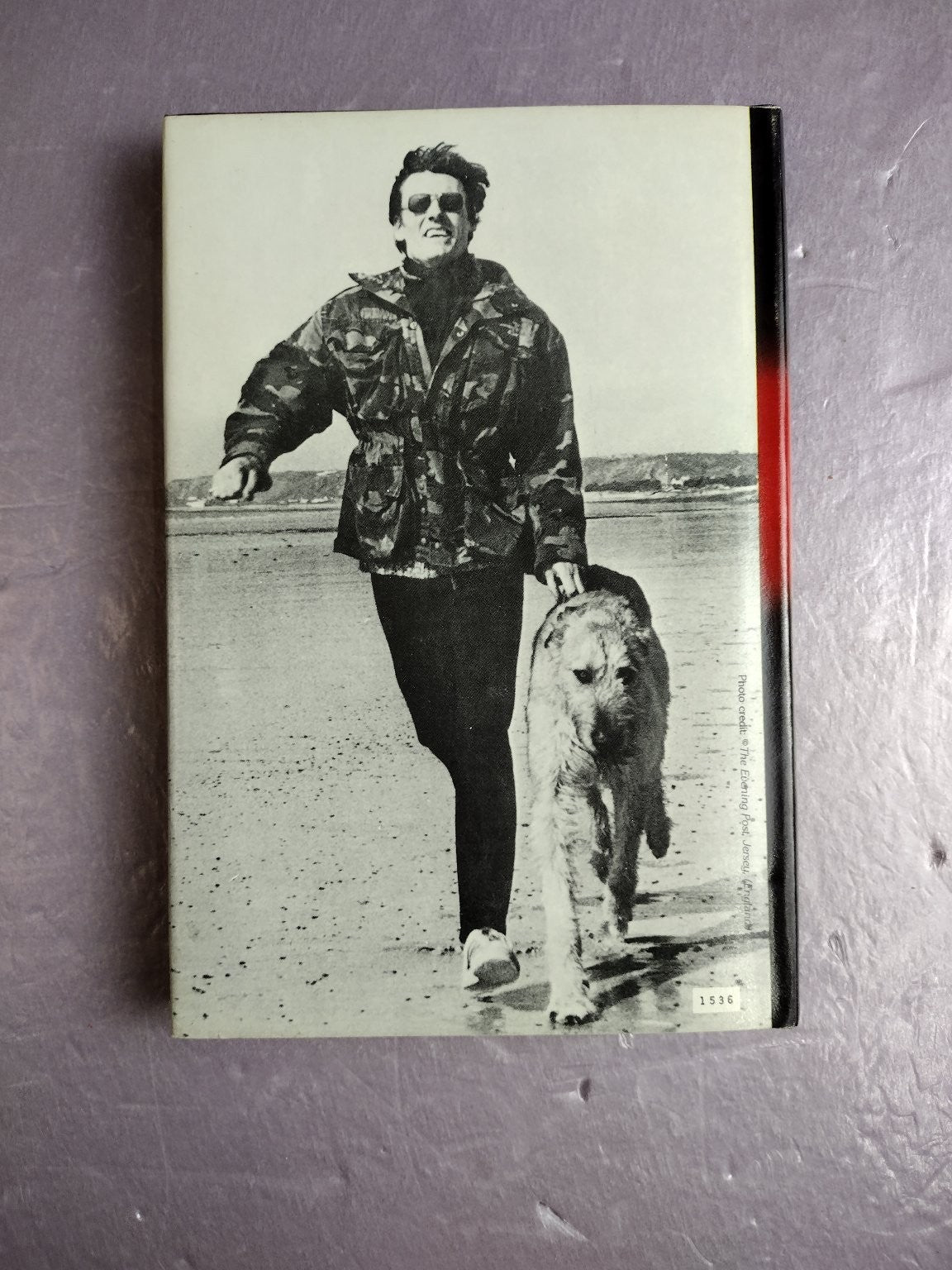 Touch the Devil Jack Higgins 1982 Thriller Espionage Stein and Day Hardcover
