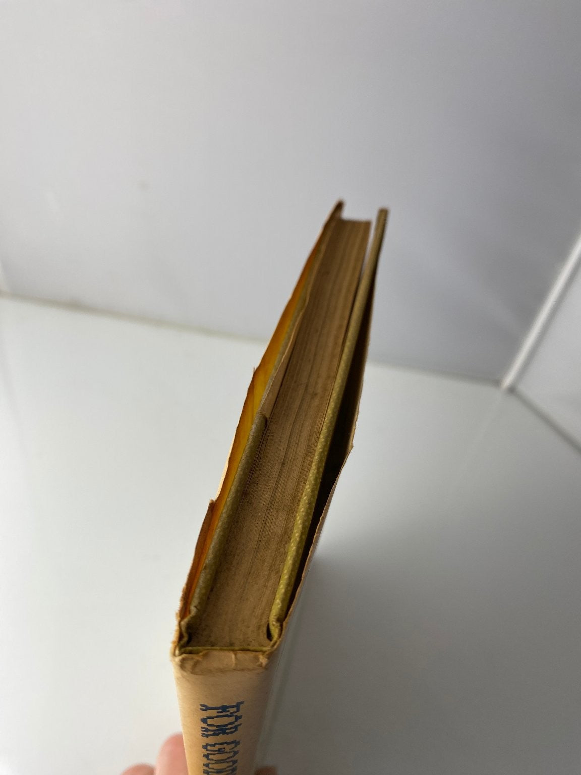 For Goodness' Sake! Edith Patterson Meyer 1973 Autobiography Abingdon