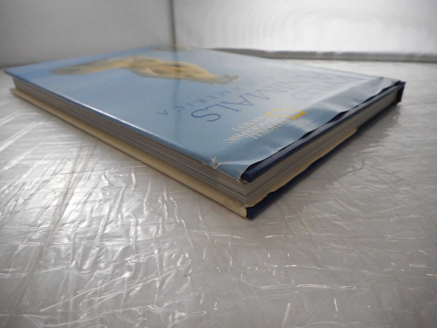 (With Bookplate) National Geographic Wild Animals of North America Hardback 1998