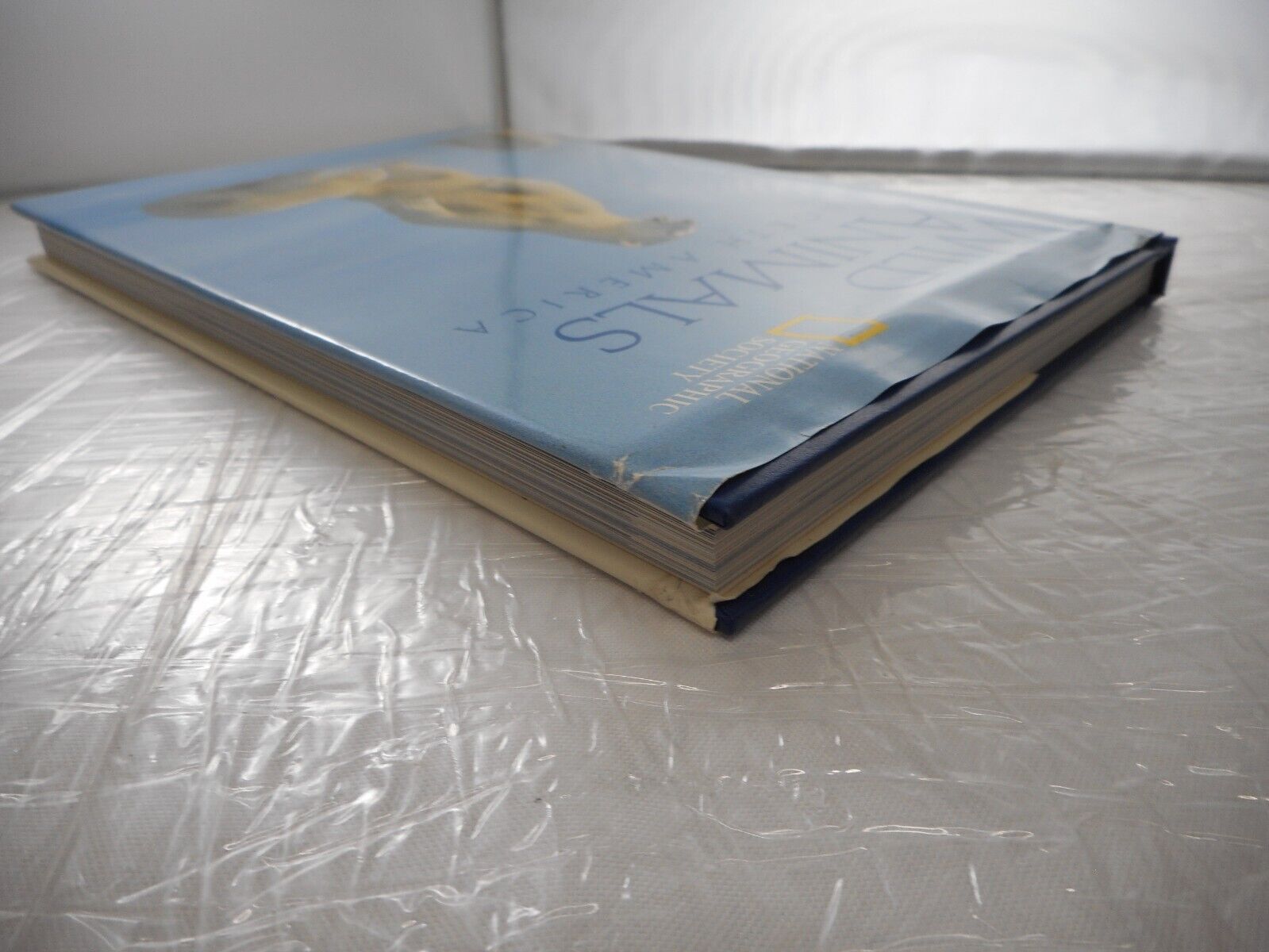 (With Bookplate) National Geographic Wild Animals of North America Hardback 1998