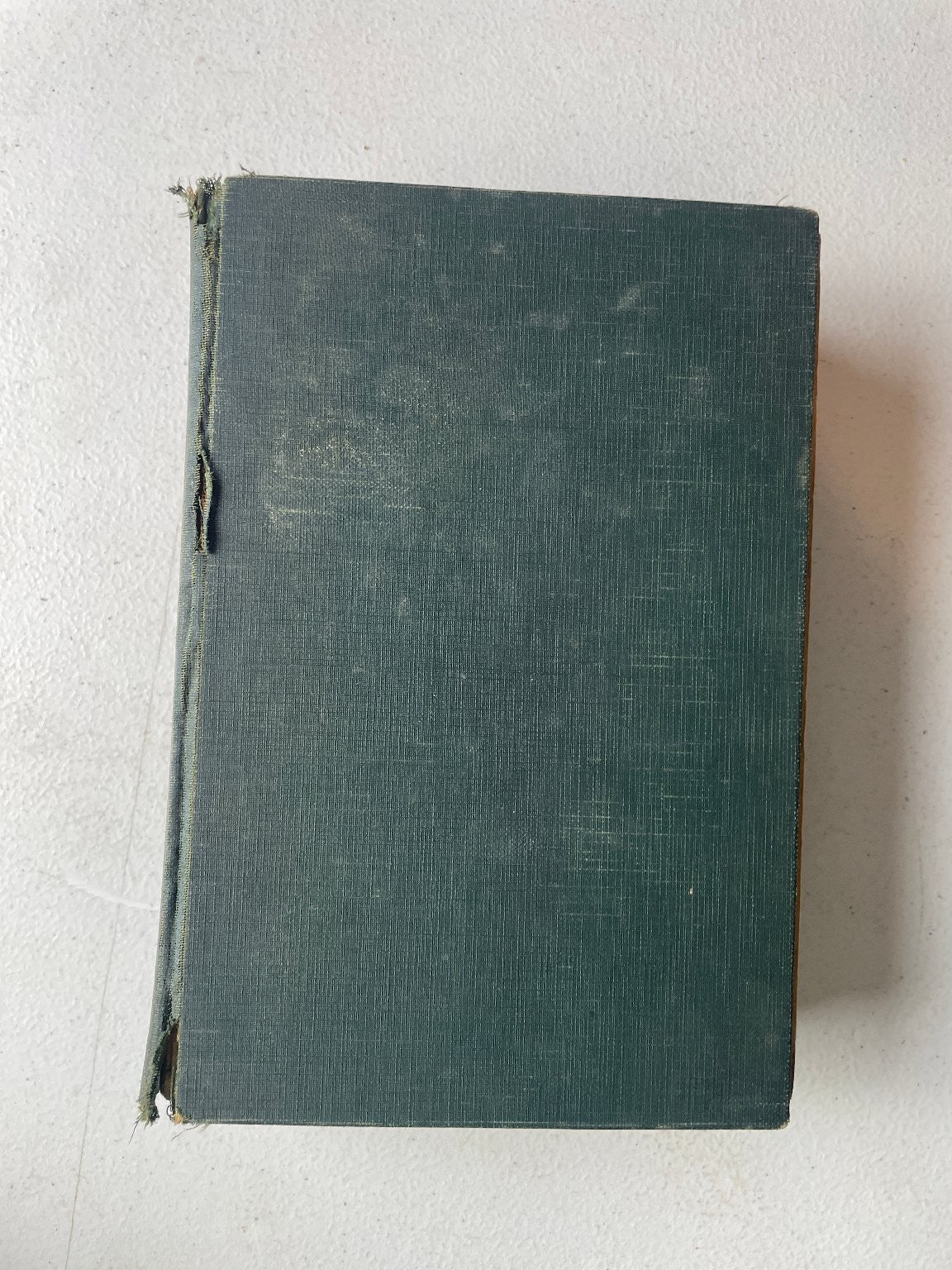 Webster's Modern Reference Dictionary 1938 Spencer Press Vintage Lexicography