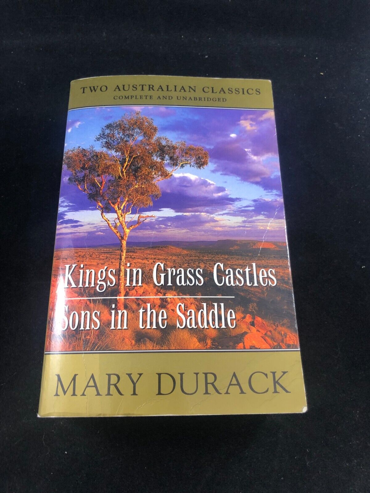 Australian Novels Sons In The Saddle AND Kings in Grass Castles Mary Durack