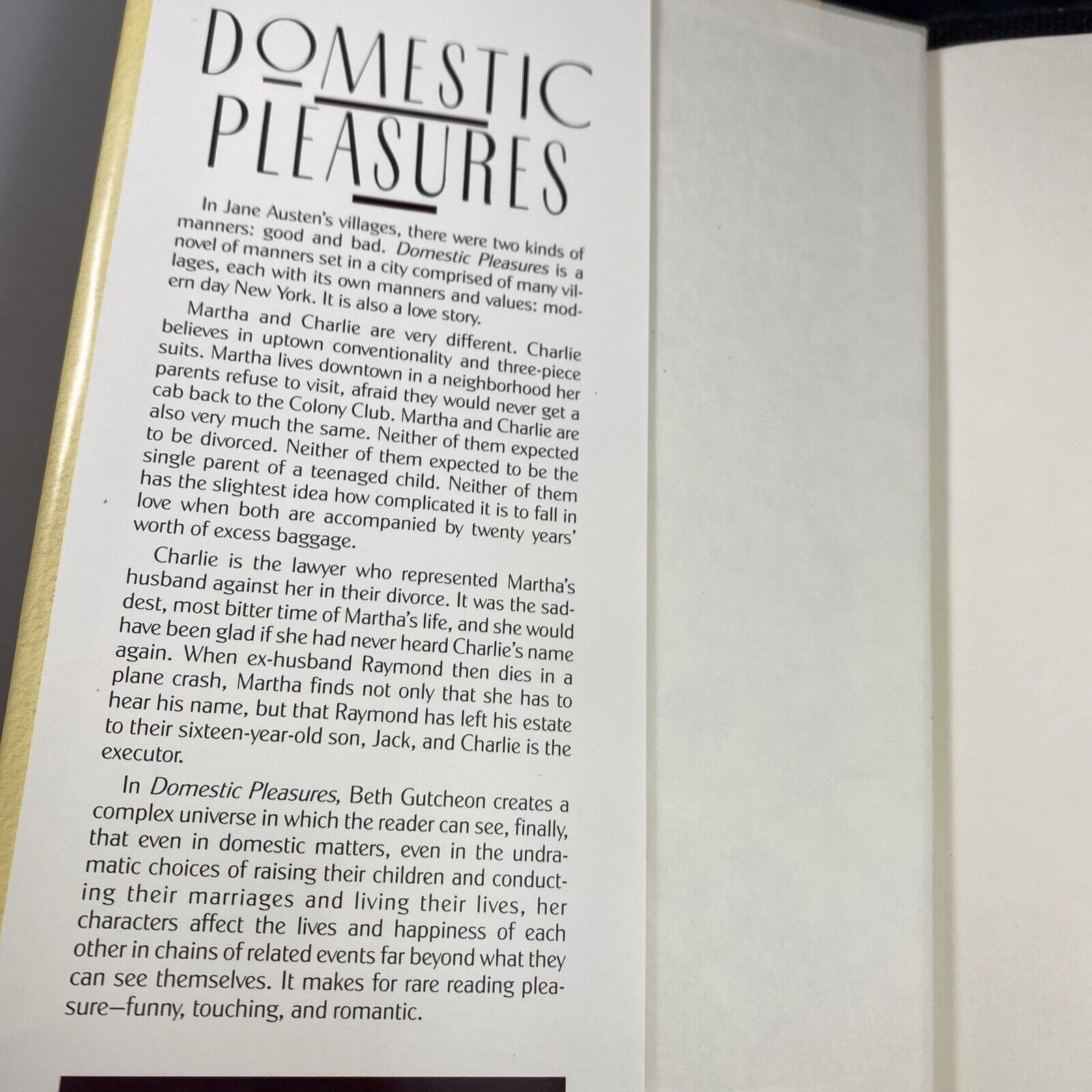 Domestic Pleasures - Beth Gutcheon (Vintage Hardcover Book, 1991)  First Edition