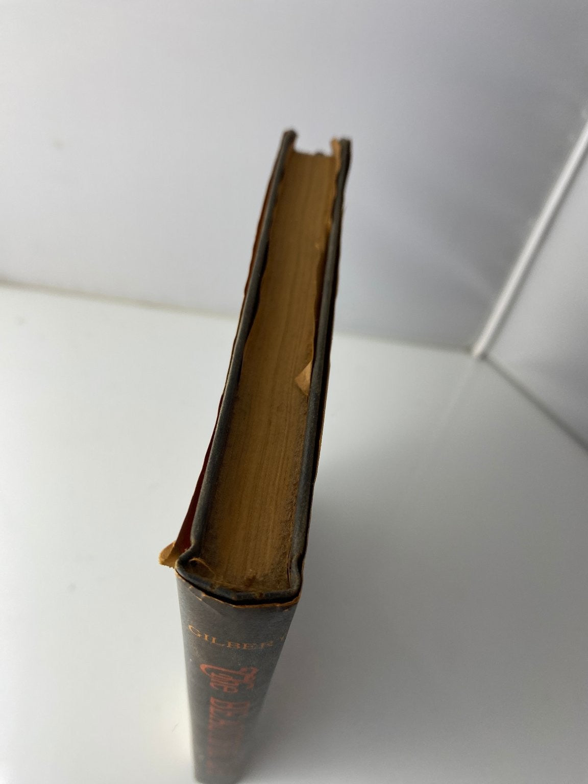 The Beautiful Life Edwin Gilbert 1966 First Edition Novel G.P. Putnam's