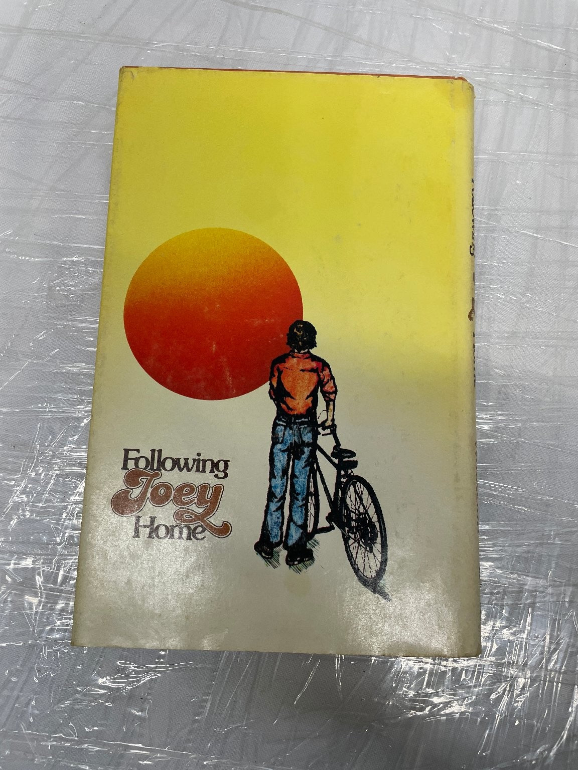 Following Joey Home Meg Woodson 1978 First Edition Biography