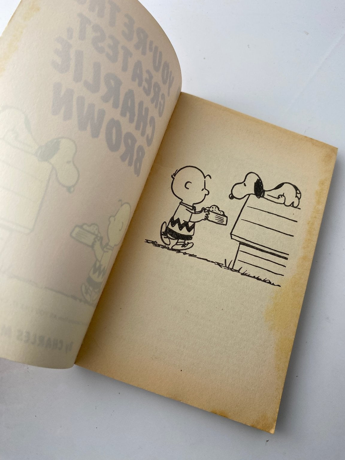 You're the Greatest, Charlie Brown by Charles M. Schulz 1971 Illustrated