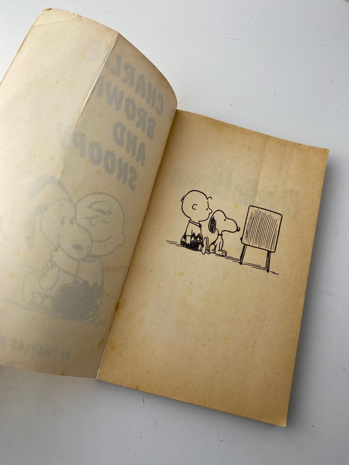 Charlie Brown and Snoopy by Charles M. Schulz 1971 Illustrated Edition