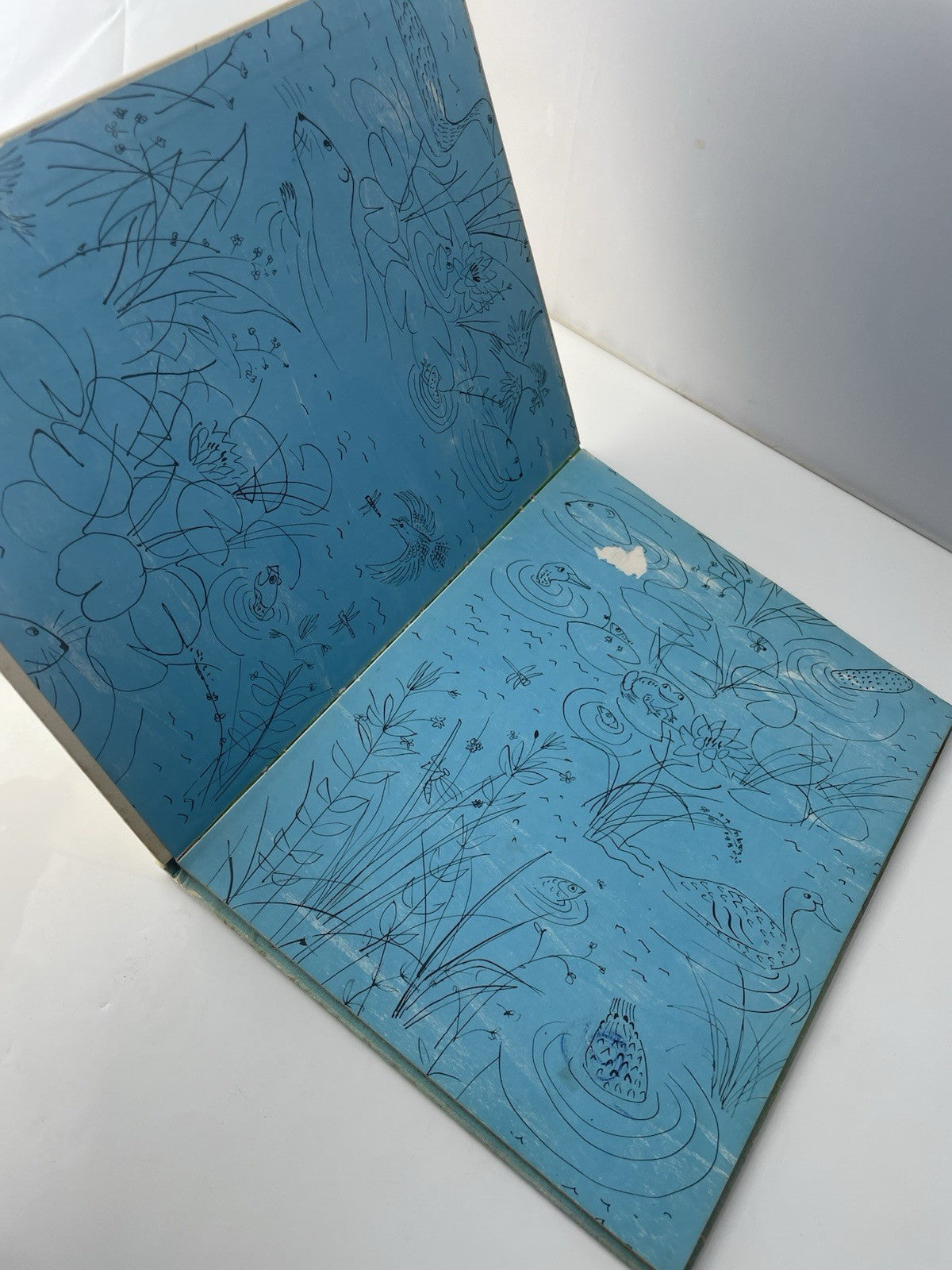 The Beaver Pond by Alvin Tresselt 1970 Hardcover Book Illustrator Roger Duvoisin